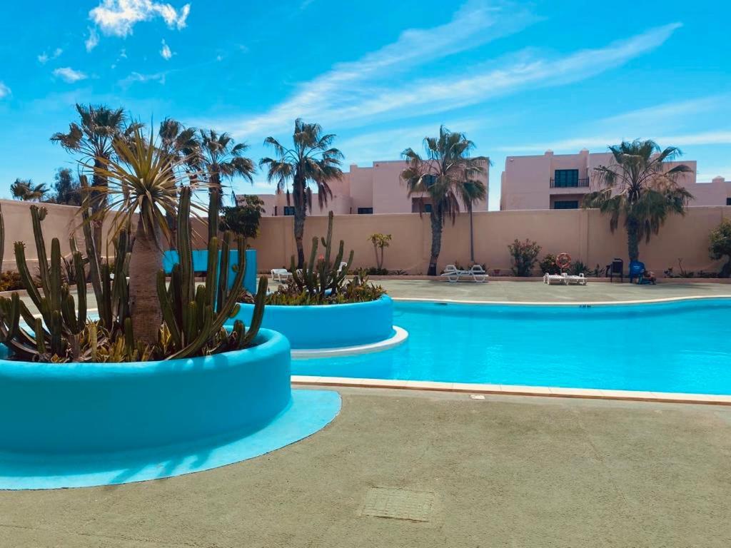 דירות Parque Holandes Surf And Chill Bungalow 70 מראה חיצוני תמונה